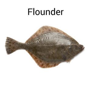 Flounder