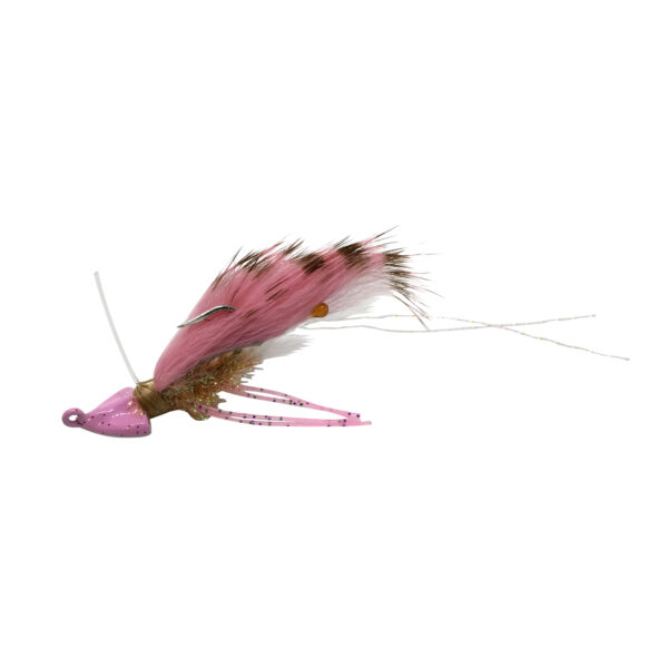 Hot Head Bugg - Image 5