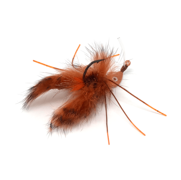 Beastie Bugg