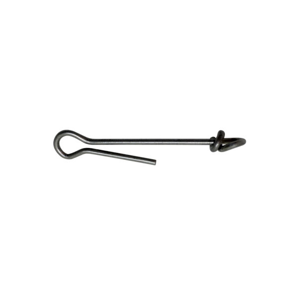 Buggs Shanks - Image 4