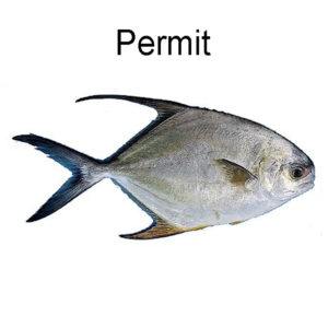 Permit