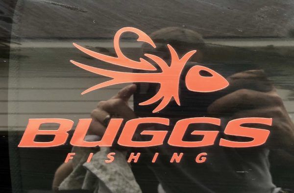 Buggs Decal - Image 5