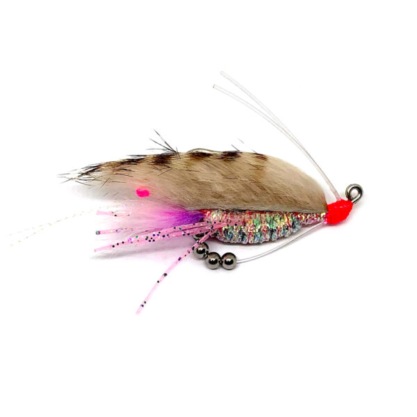 Click-Bait Shrimp Bugg - Image 7