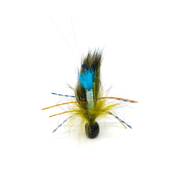 Ned Bugg - Image 2